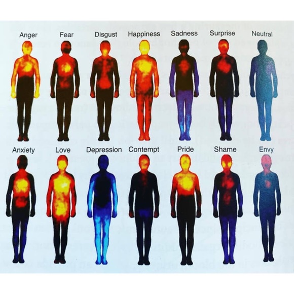 Meet your Posher - Picture 8 of 11